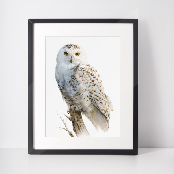 Watercolor Snowy Owl Portrait Wall Art Print, Unframed - Mystic Winter Grace - Picture 3 of 6